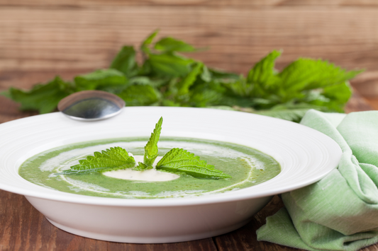 Nourishing Nettle Soup: A Recipe for Health and Sustainability