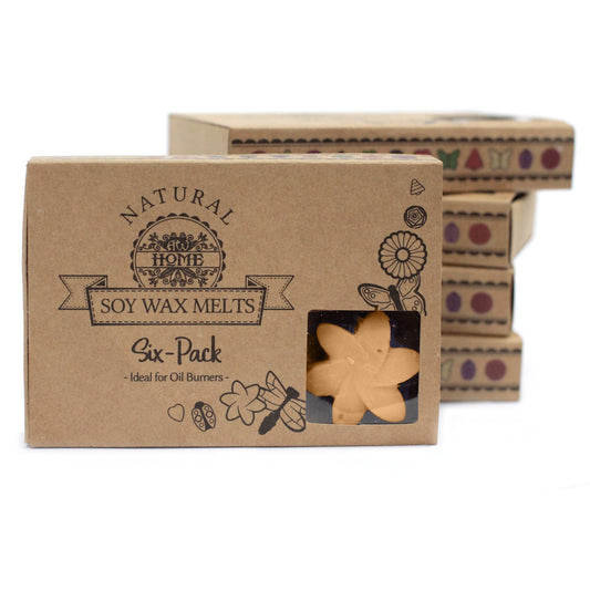 6x Star Soy Wax Melts - Midnight Jasmine