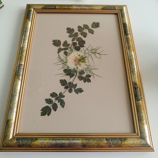 Pressed Flower Art - Delicate Cream Whispers