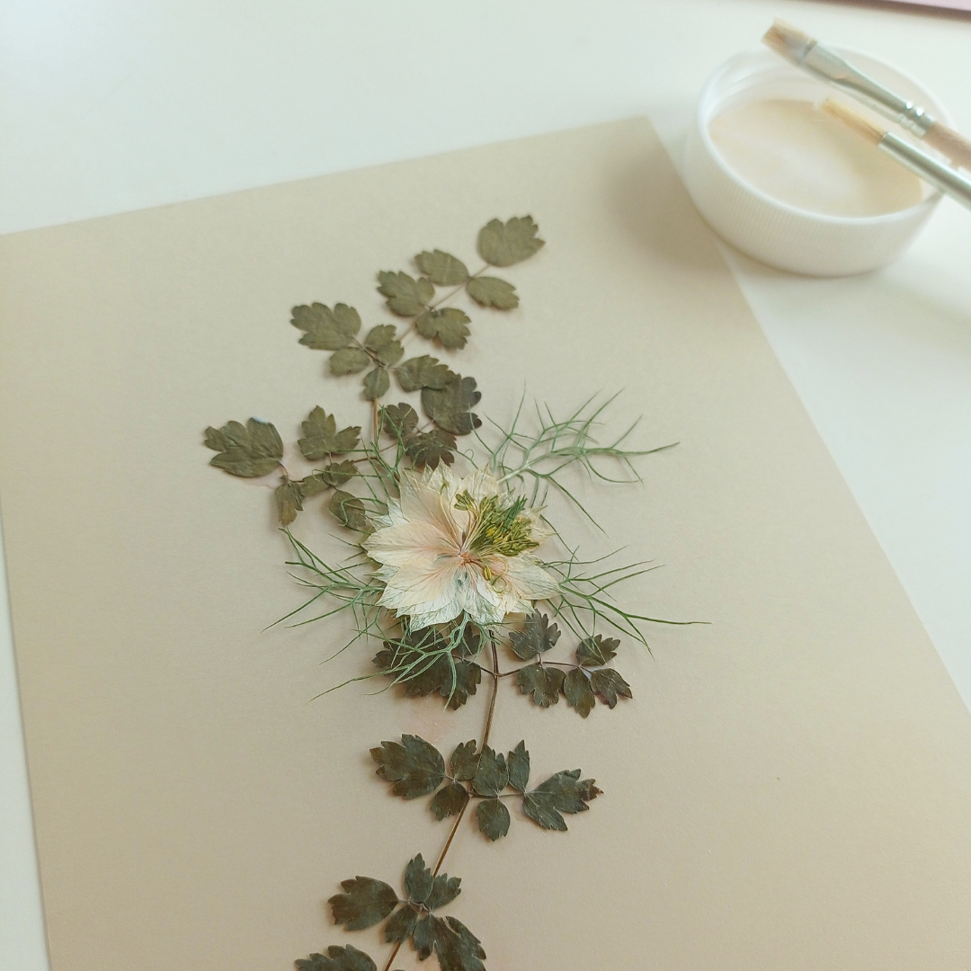 Pressed Flower Art - Delicate Cream Whispers