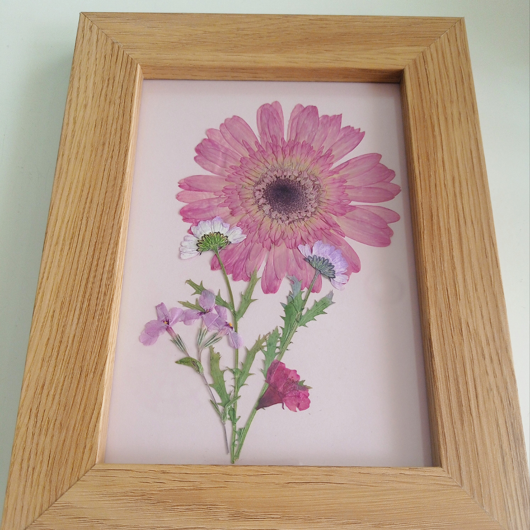 Pressed Flower Art - Pink Meadow Dreams