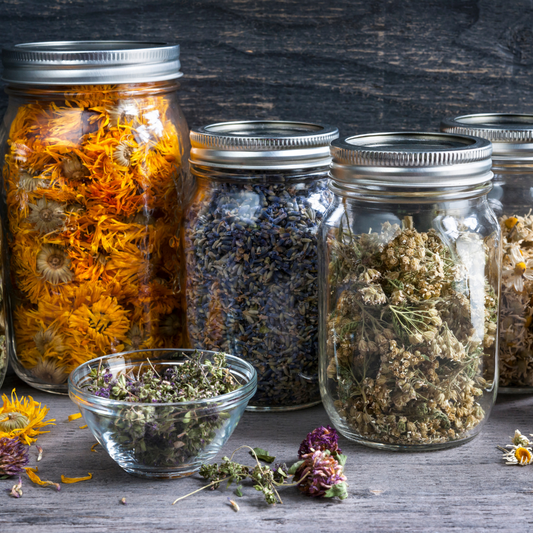 Beginners Herbal Remedy Workshop (DATE TBC)