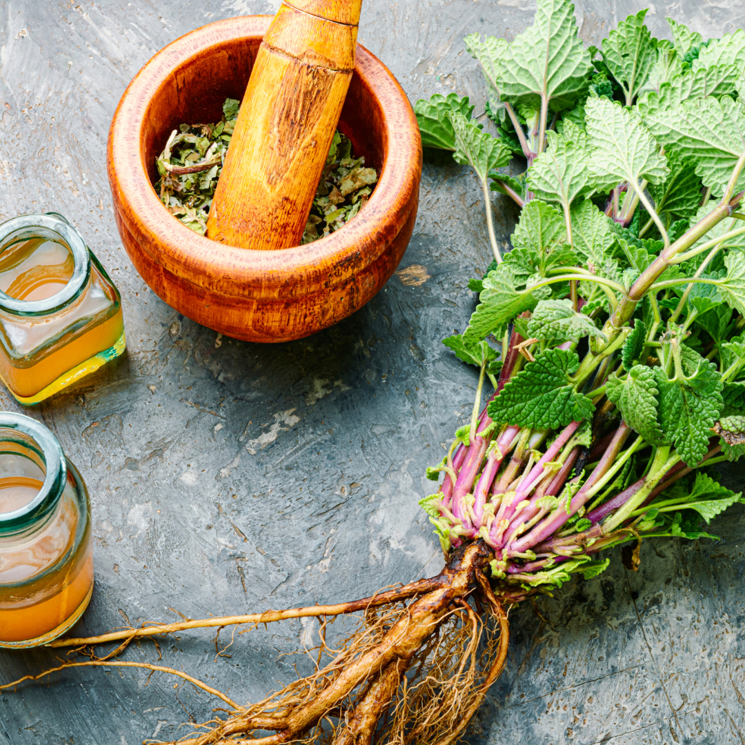 Tincture - Organic Lemon Balm