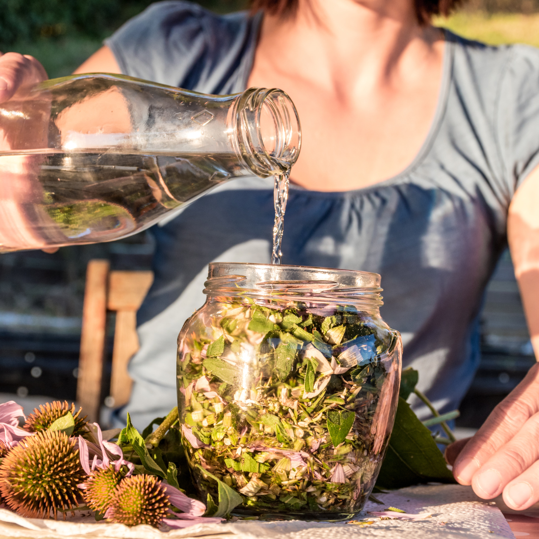 Tincture - Organic Enchinacea