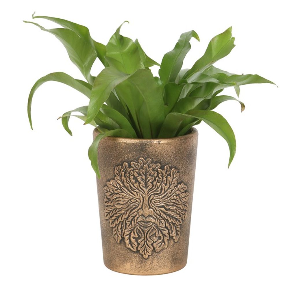 Bronze Terracotta Plant Pot - Green Man