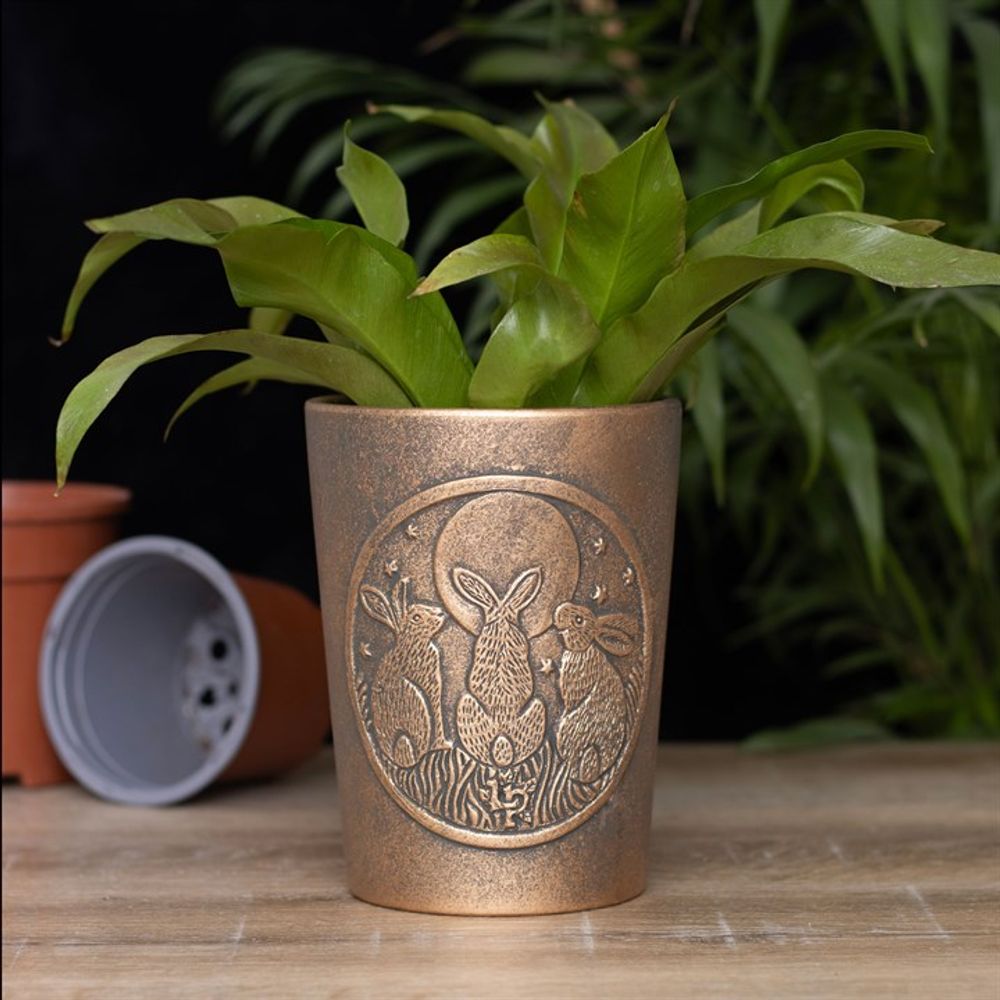 Bronze Terracotta Plant Pot - Moon Shadows