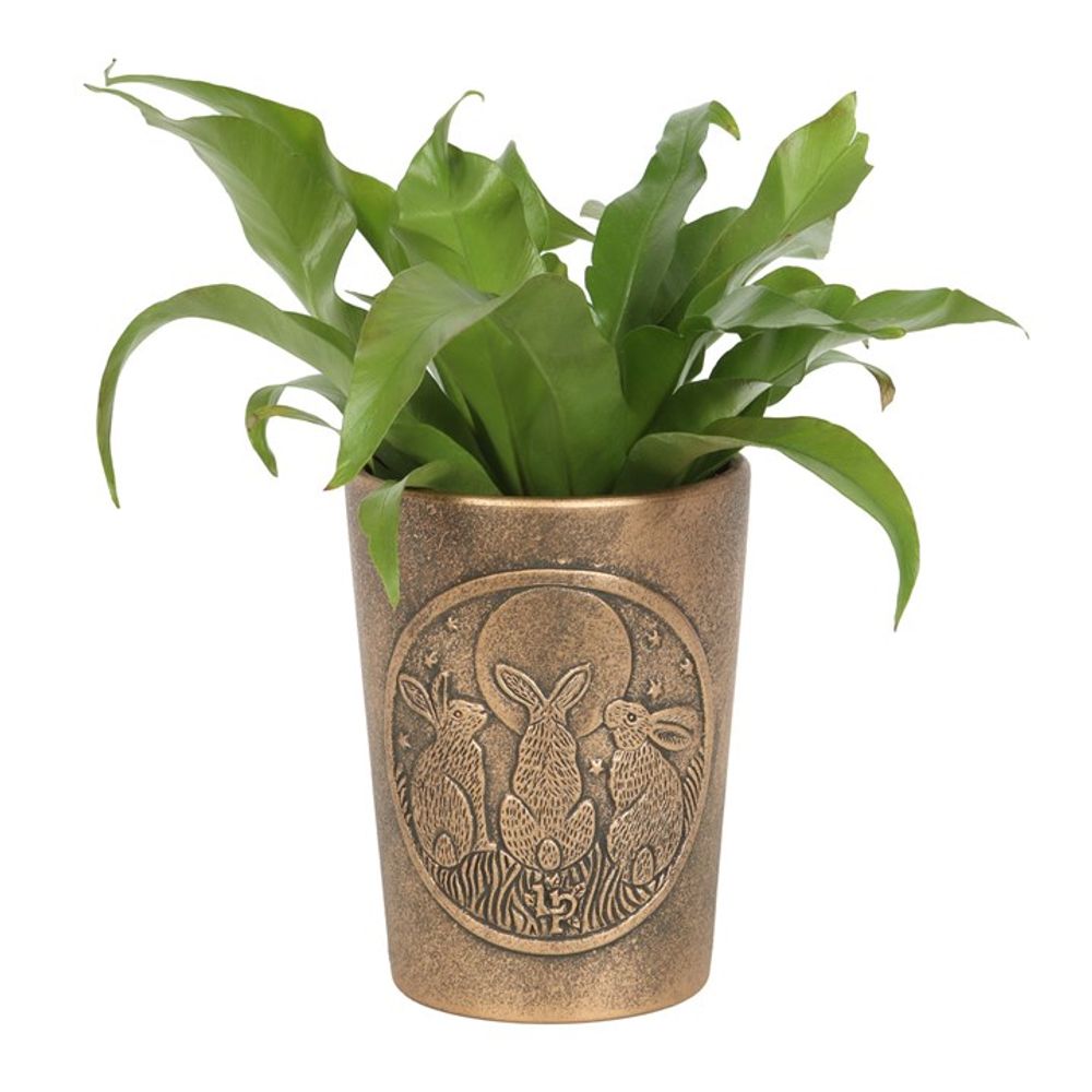 Bronze Terracotta Plant Pot - Moon Shadows