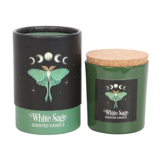 White Sage Candle - Luna Moth